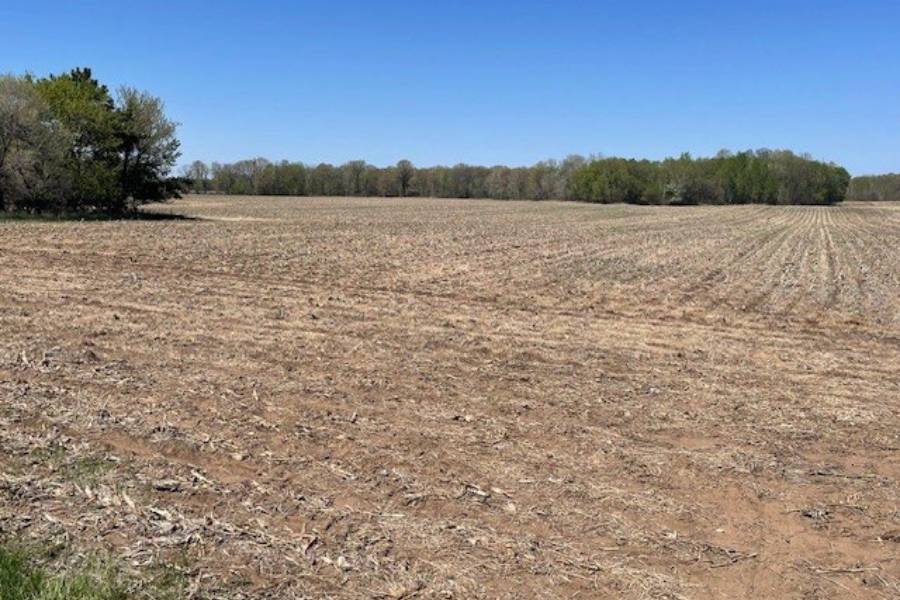 Land For Sale 241st Avenue St. Francis Mn (2)