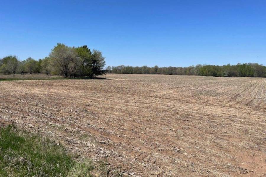Land For Sale 241st Avenue St. Francis Mn